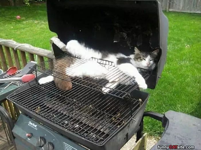 In The Grill