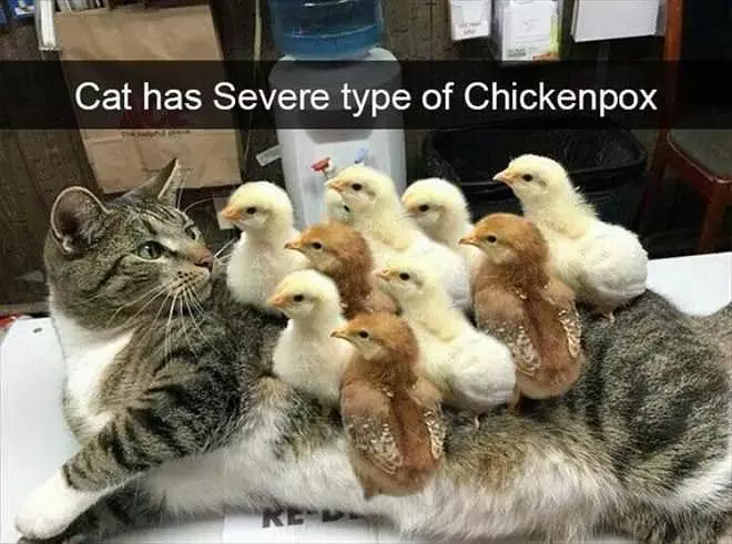 Severe Case Of Chickenpox