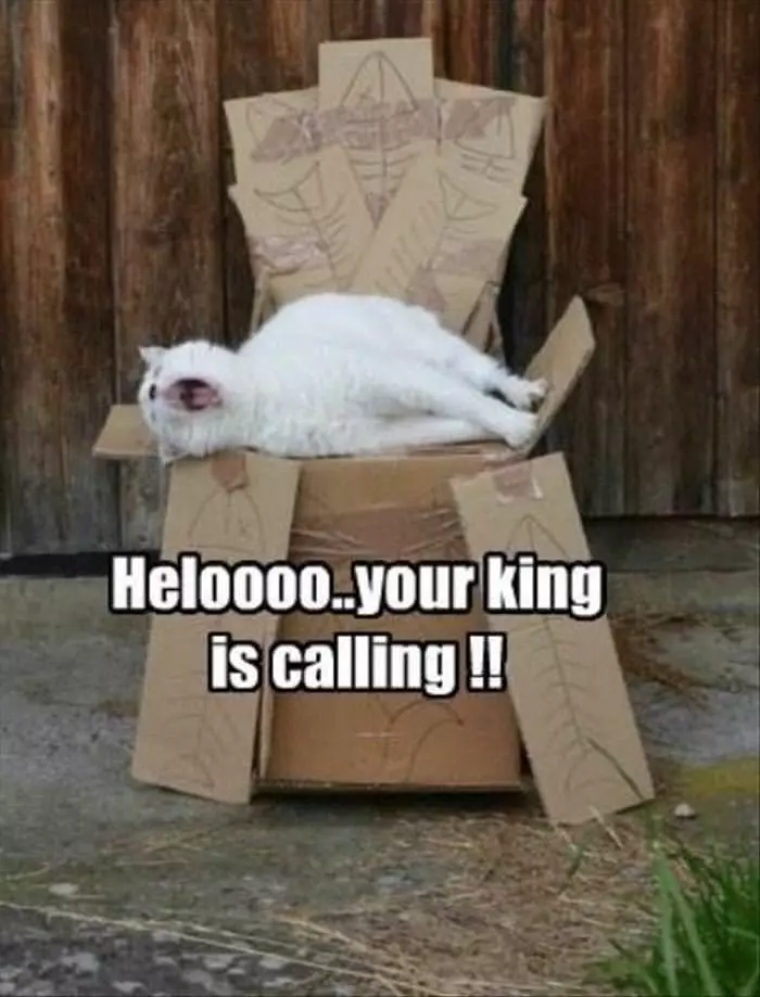 Your King Is Calling
