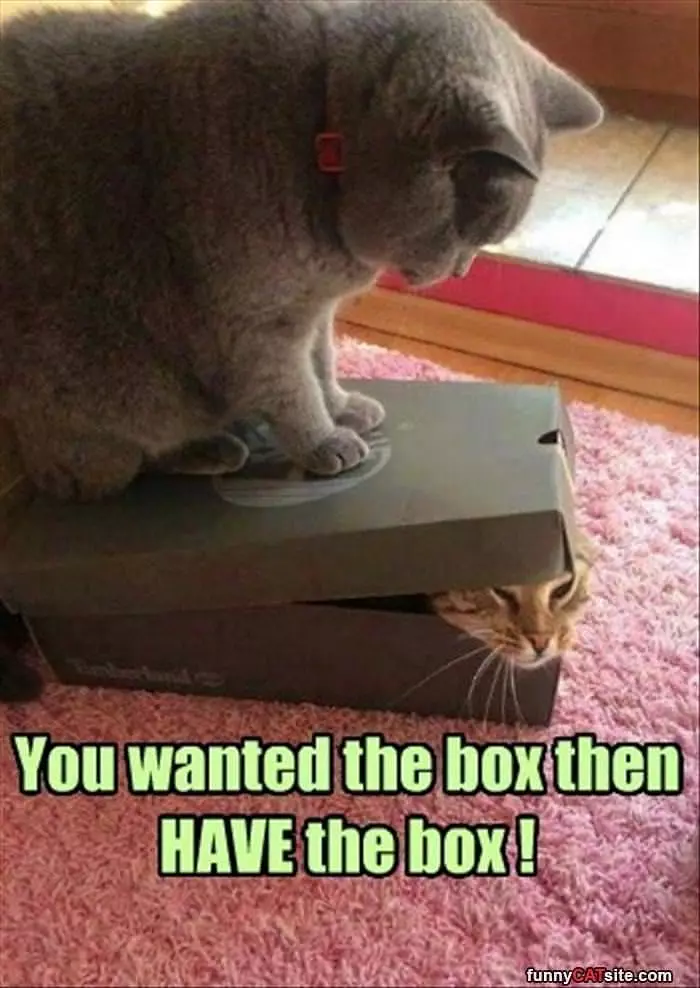 Have The Box