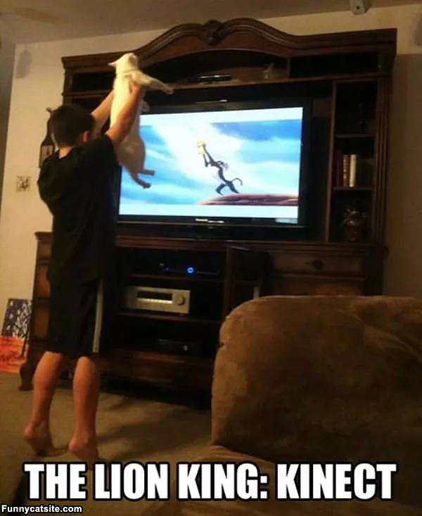 Lion King Kinect