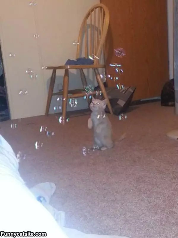 I Love The Bubbles