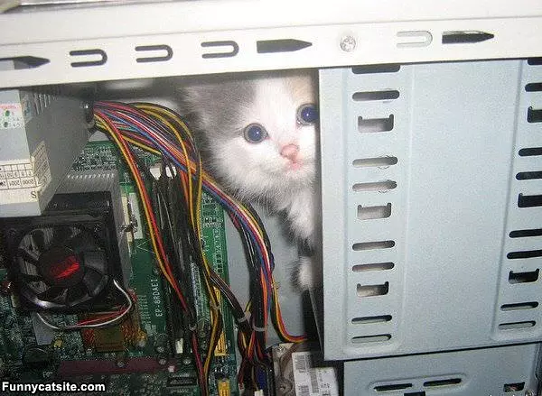 Here To Fix The Computer