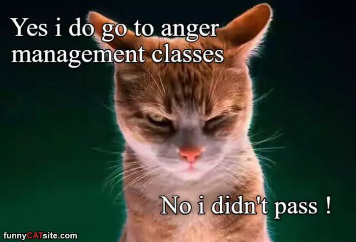 Yes I Went To Anger Management