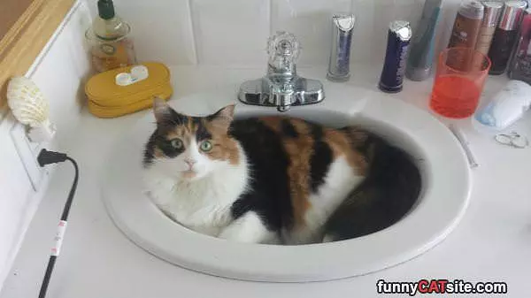 This Is My Sink Now