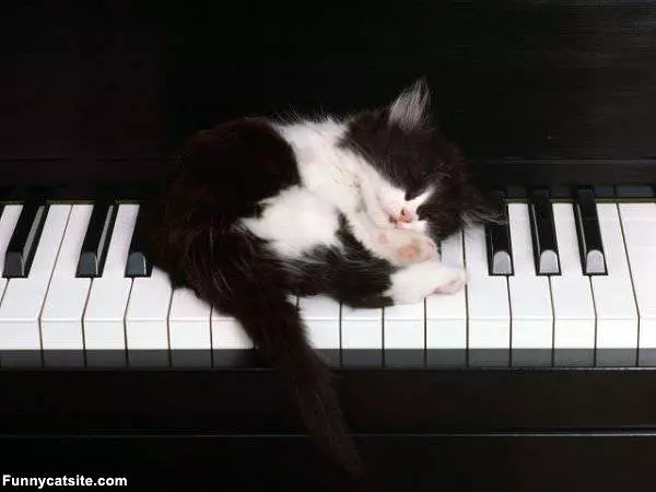 Piano Sleeper