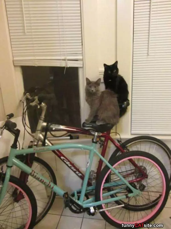 Time For A Bike Ride