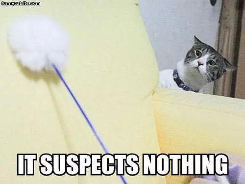 Suspects Nothing