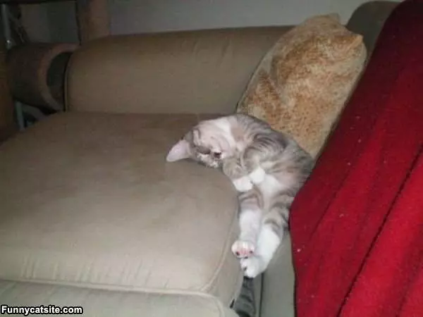Sleeping In The Couch