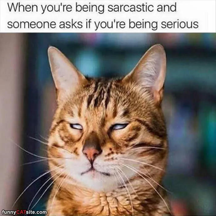 Being Sarcastic