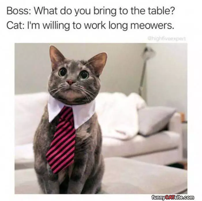 What Do You Bring To The Table