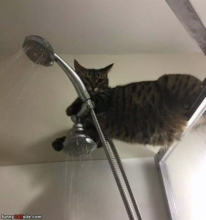 How Is Your Shower Going