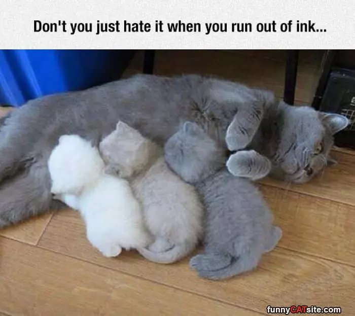Run Out Of Ink