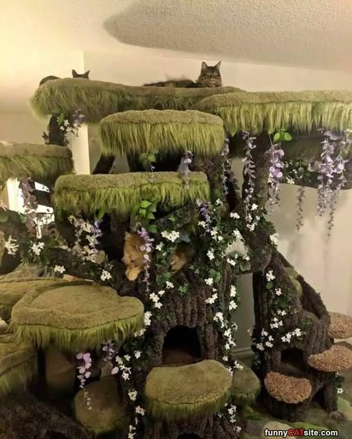 The Amazing Cat Tower