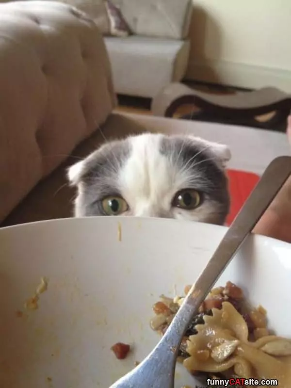 Are You Going To Finish Dis