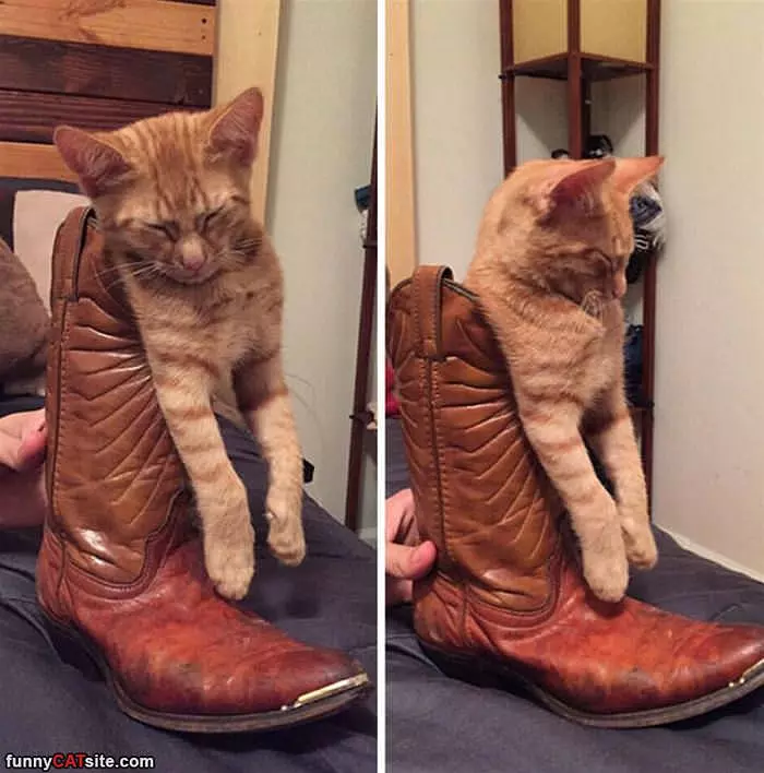 Asleep In My Boot