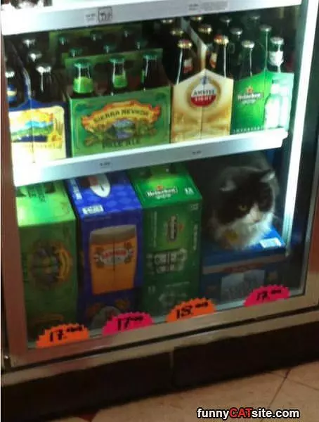 Guarding The Beer