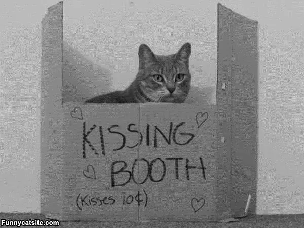 The Cat Kissing Booth