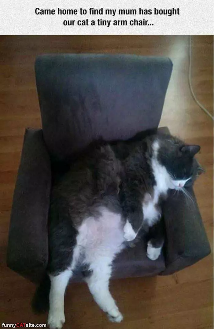 Got This Comfy Chair
