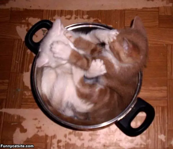 Playing In The Pot