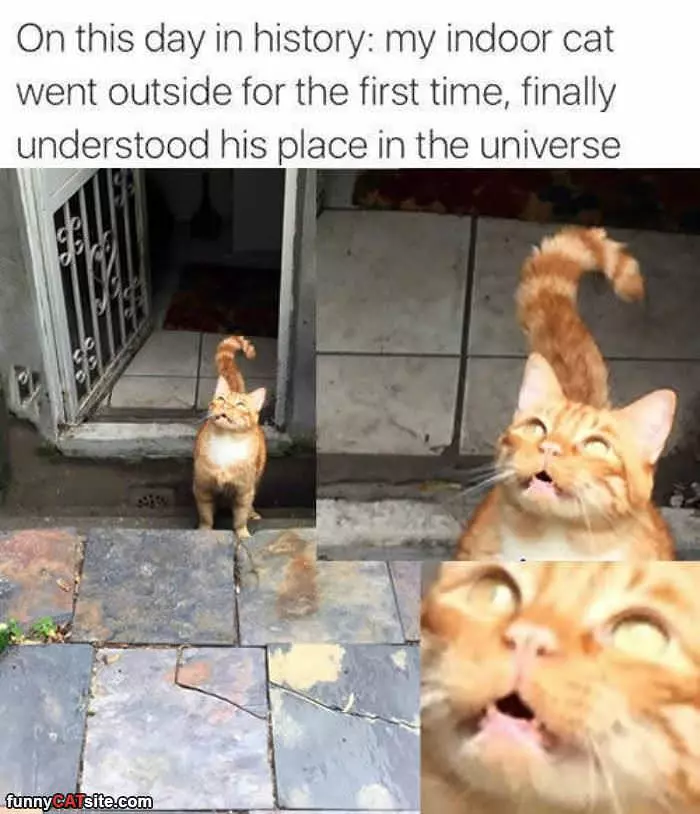 First Time Outside