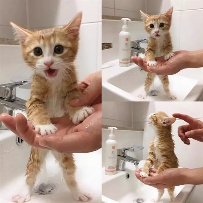 Getting Myself A Bath
