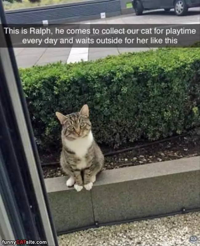 This Is Ralph