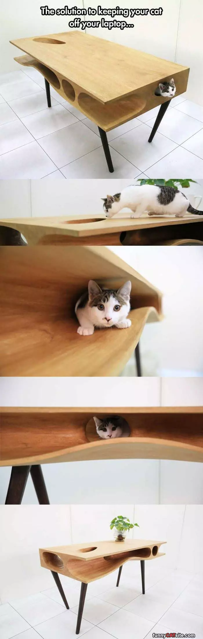 Epic Cat Table