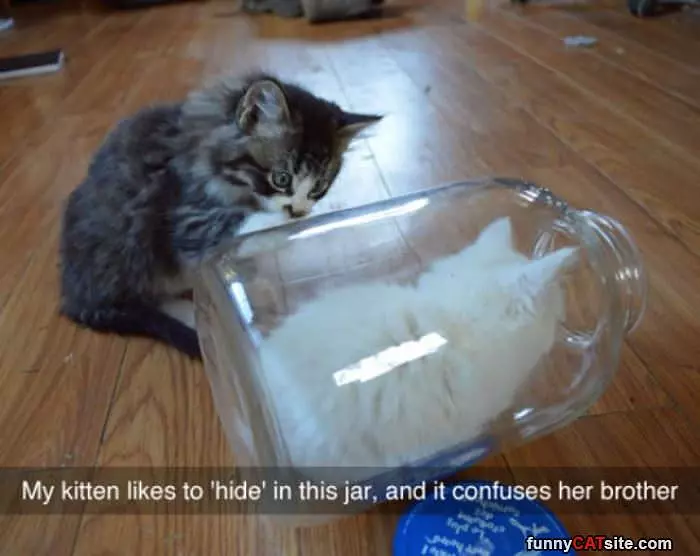 Hiding In The Jar