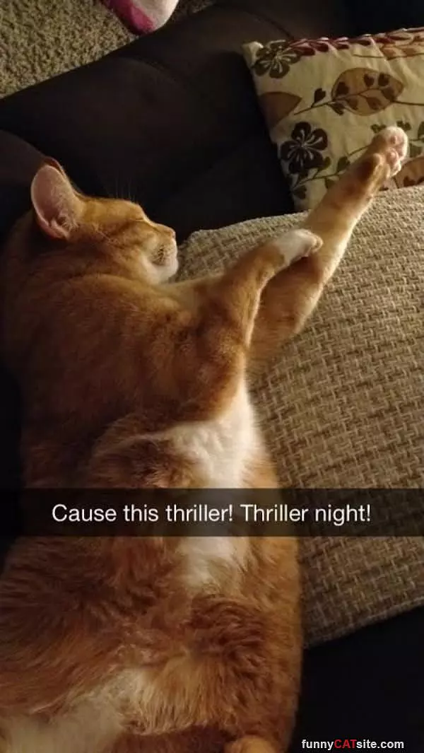 Thriller Night