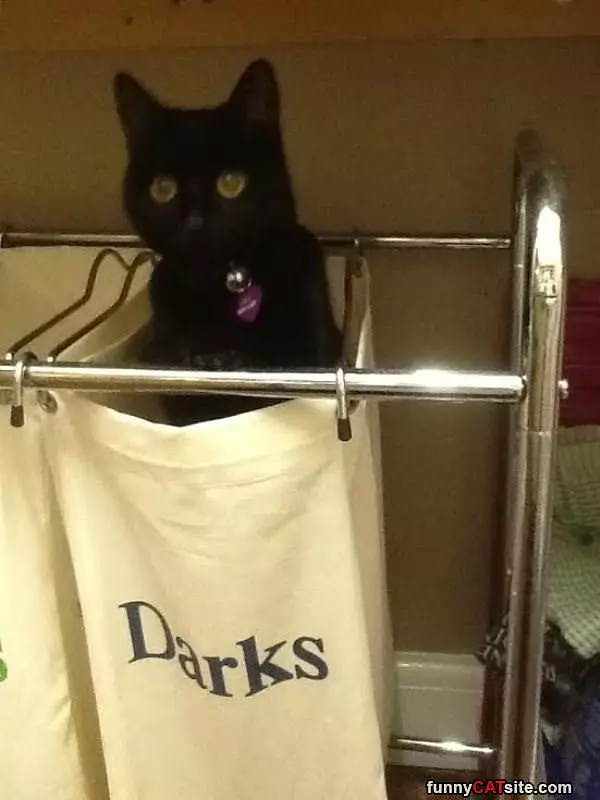 Helping With Laundry