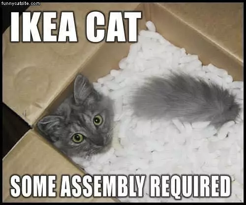 Ikea Cat