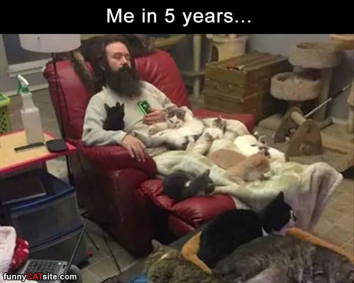 Me In 5 Years