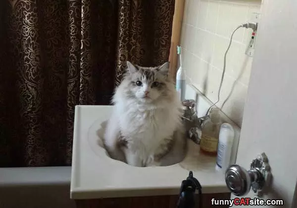 This Sink Is Mine Now