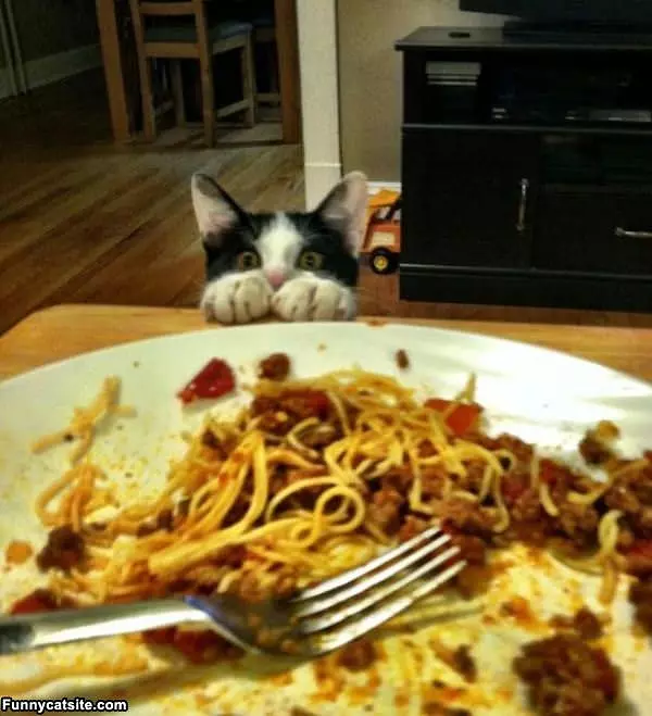 I Want Some Spaghettis