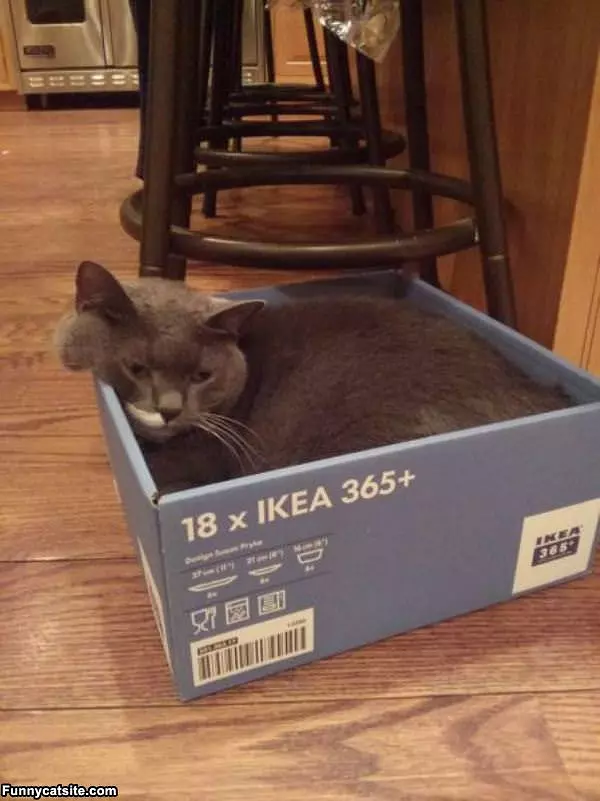 My Ikea Box