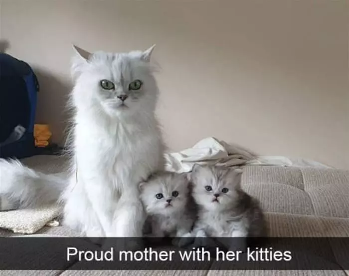 Proud Mother