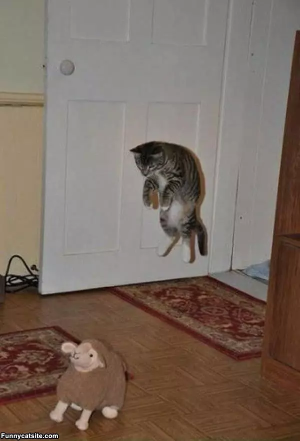 Surprise Jump Attack