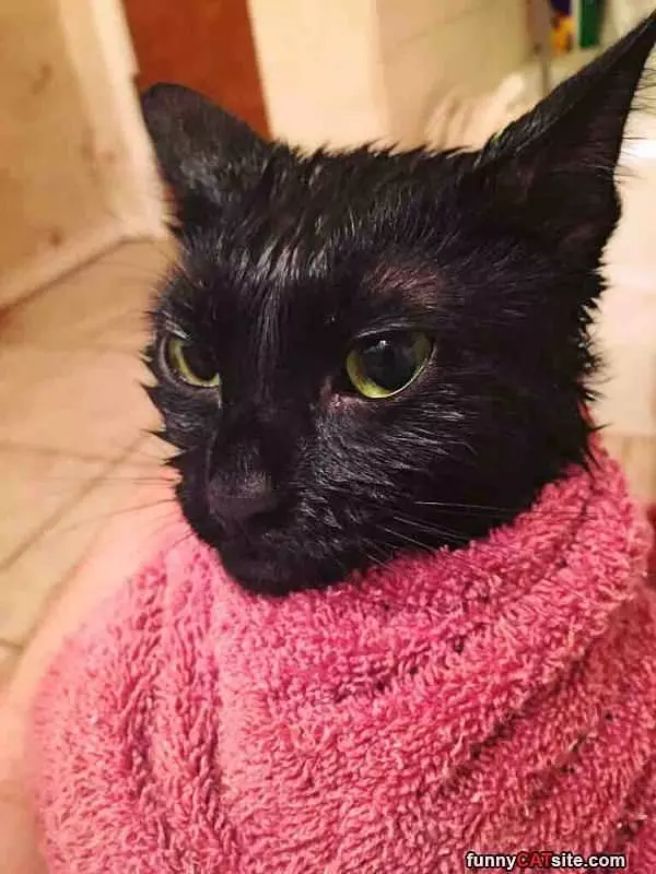That Bath Sucked