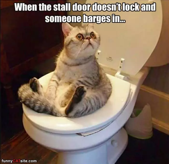 Stall Door Has No Lock