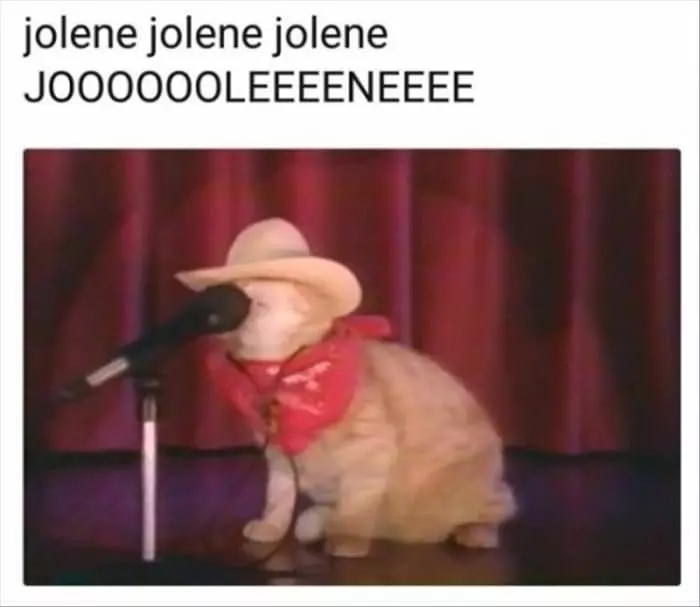 Jolene Jolene
