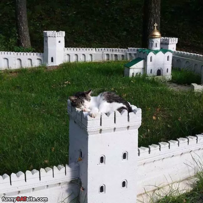 Guarding The Castle