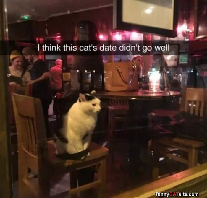 My Date