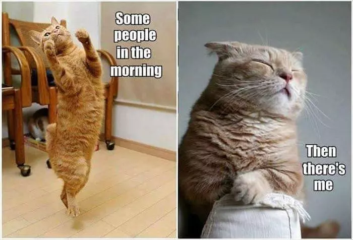 Some People In The Morning