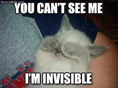 You Cant See Me