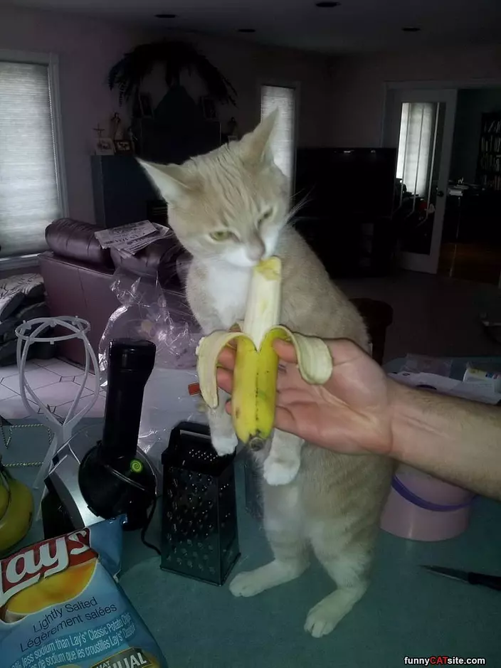 Take A Banana