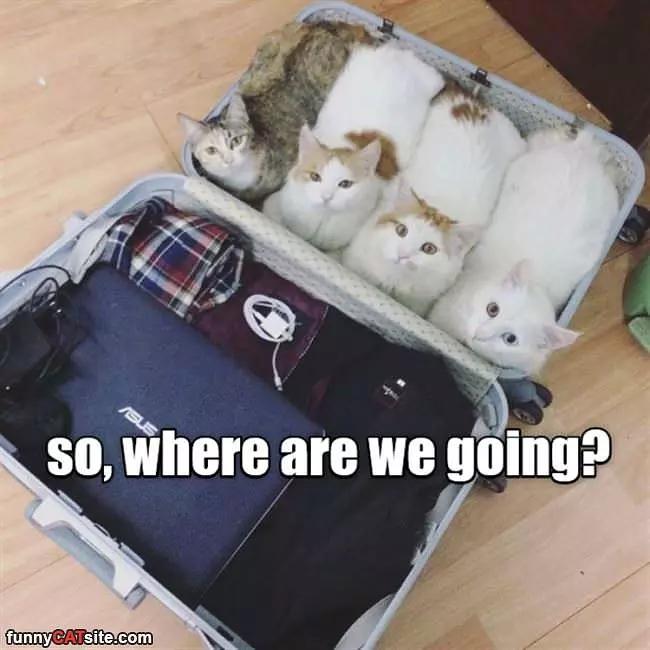 So Where Are We Going