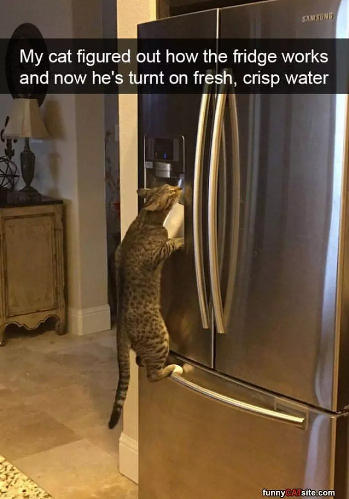 Can I Have Some Crisp Water