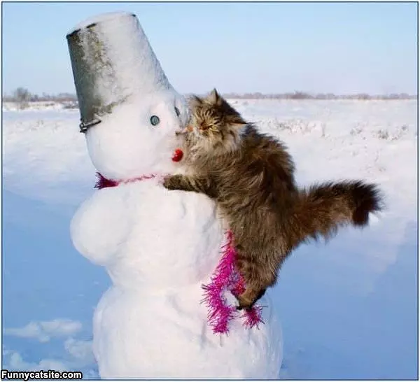 I Loves This Snowman