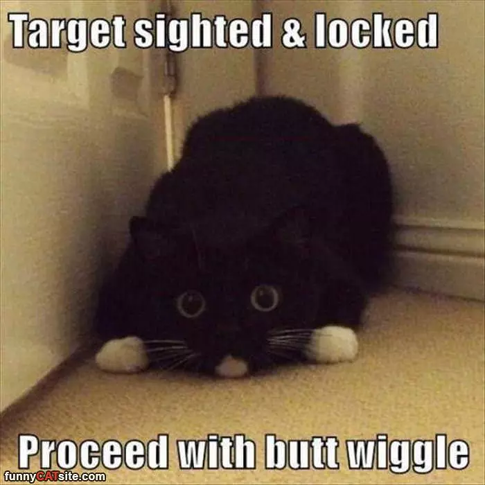 Proceed With Butt Wiggle